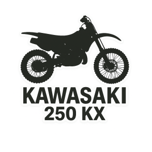 Kawasaki 250 KX