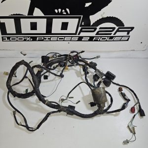 faisceau Honda 400 Silver Wing 2007 d’occasion