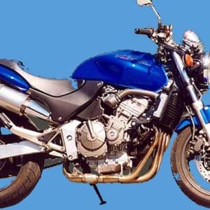 Silencieux Superline HORNET 600 Big Oval Alu Homologué 1998-2002