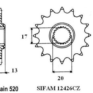 Pignon 12 Dents - Pas 520 2012-2023