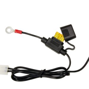 Câble pour Chargeur de Batterie Pour ACCUGARD-900 Avec Fusible