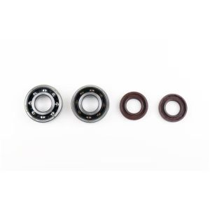 Kit Révision Vilebrequin Spy + Roulements SKF