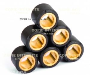 Kit Galets de Variateur x8 Ø28x20 - 27g 2001-2016