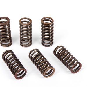 Kit Ressorts d'embrayage (5pcs) Kawasaki 2006-2012